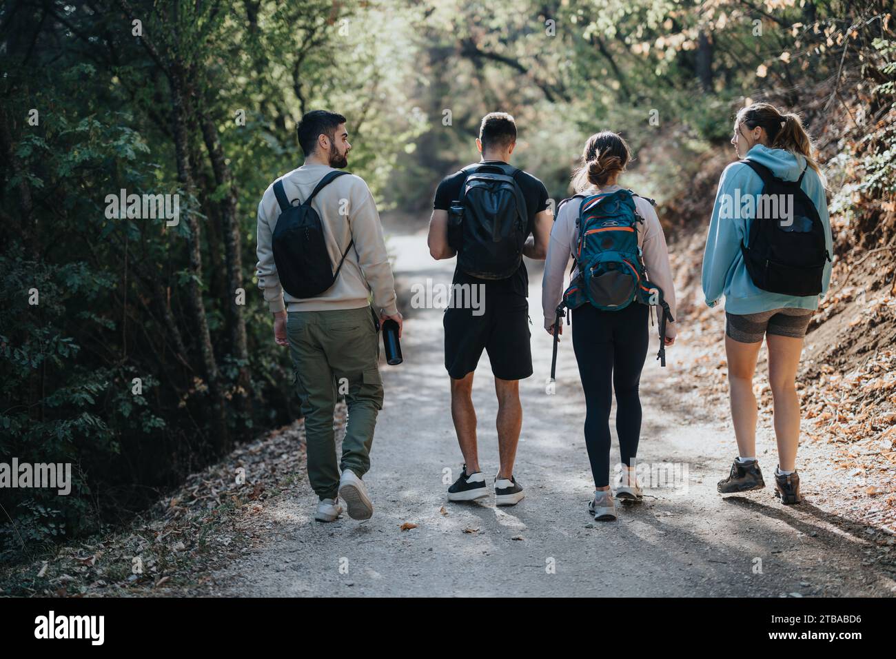 A Group of Friends Enjoying Hiking in the Breathtaking Autumn Forest ...