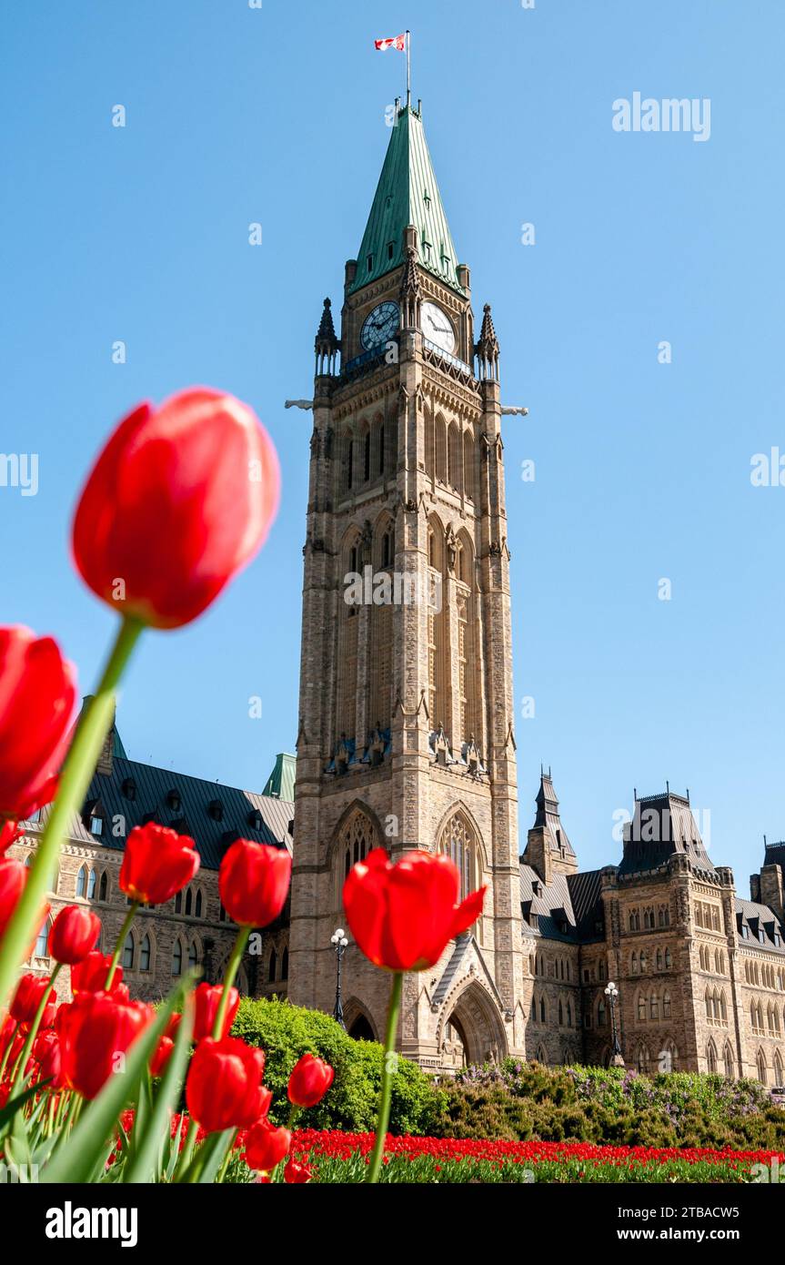 The Peace Tower of the Parliament of Canada during the Canada Tulip Festival, Ottawa, Ontario, Canada Stock Photo