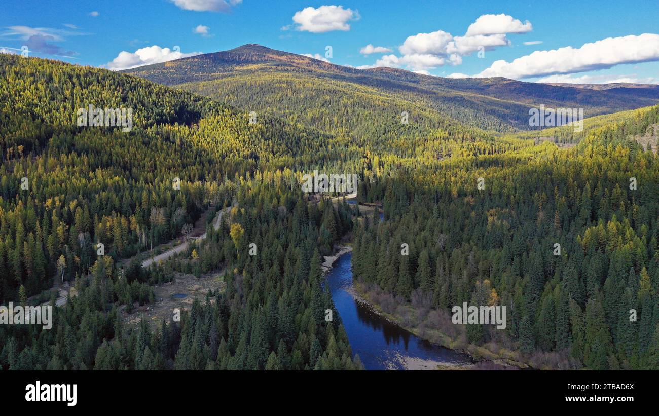 Yaak River and the Purcell Mountains with western larch in fall. Yaak Valley, northwest Montana. Stock Photo