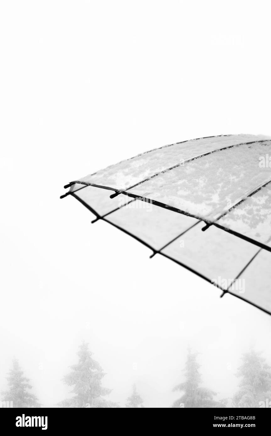 Cropped photography of a transparent umbrella covered with snow on a snowy day, white sky with a trees , minimalism, copy space, negative space Stock Photo