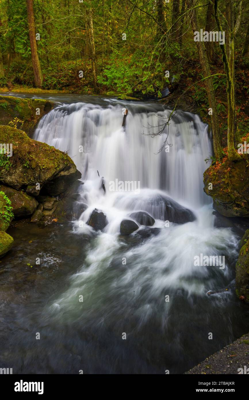 View of a waterfall Creek) from
