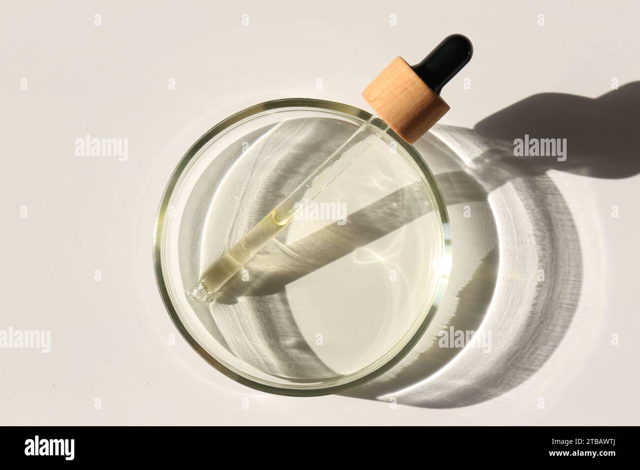 Petri dish with liquid sample and pipette on light background, top view ...