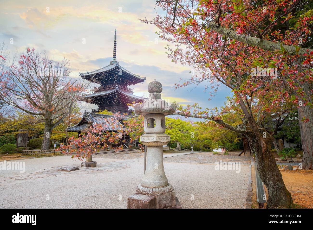 Kyoto, Japan - April 5 2023: Shinnyodo or Shinshogokurakuji temple founded in 984 its name refers to Sukhavati which means the Pure Land of the West Stock Photo
