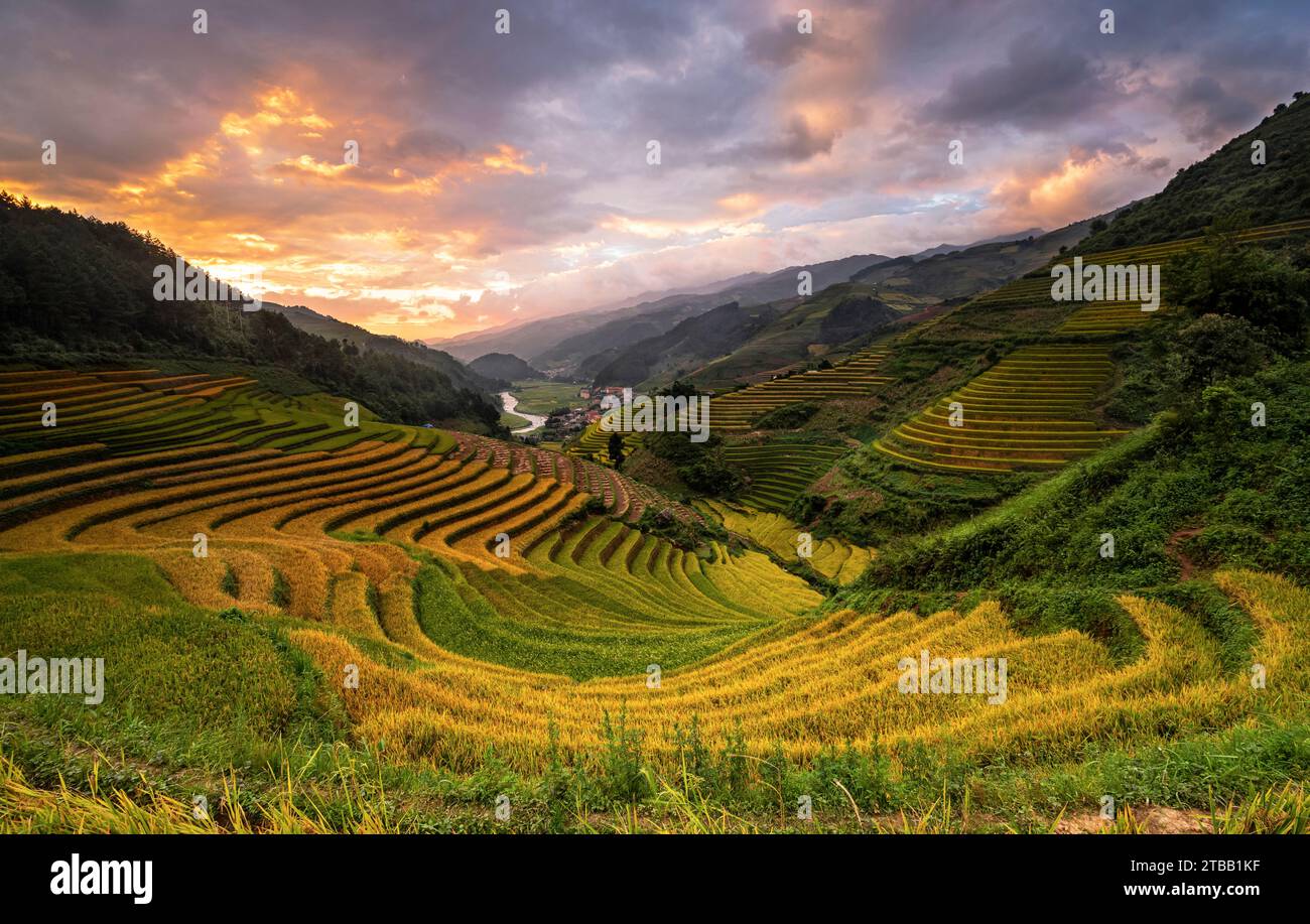 Rice terraces in Mu Cang Chai, yen Bai, Northern Vietnam Stock Photo ...