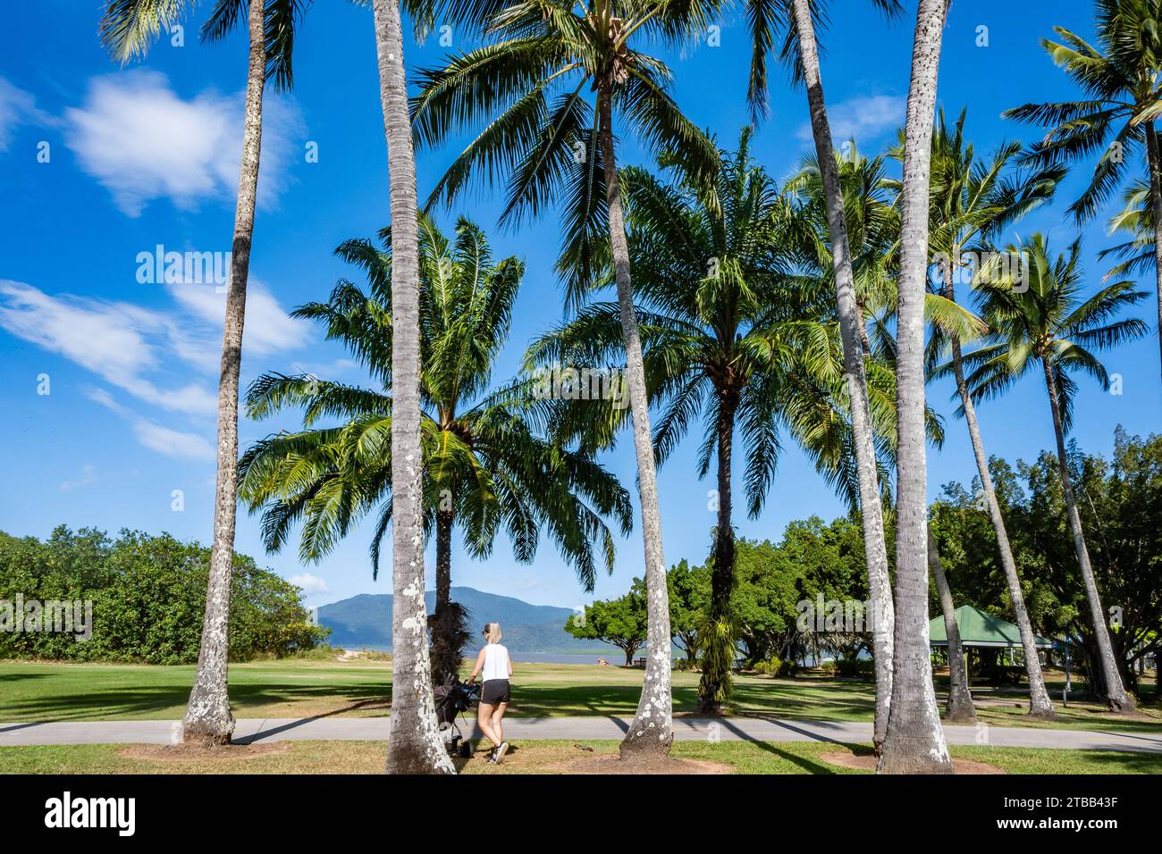A young woman pushing a stroller under palm trees on the street. Caines, Queensland, Australia. Stock Photo