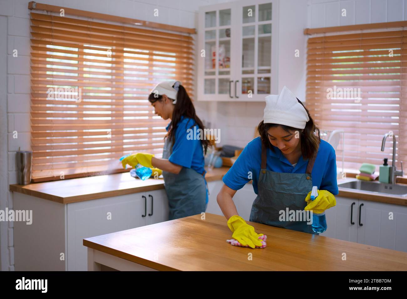 Housekeeping staff clean the house. Service and occupation concept. Stock Photo
