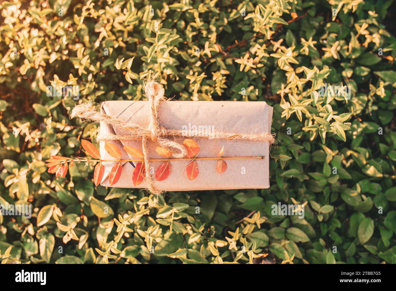 Gift wrapping made from natural, recycled, and environmentally friendly materials. Stock Photo