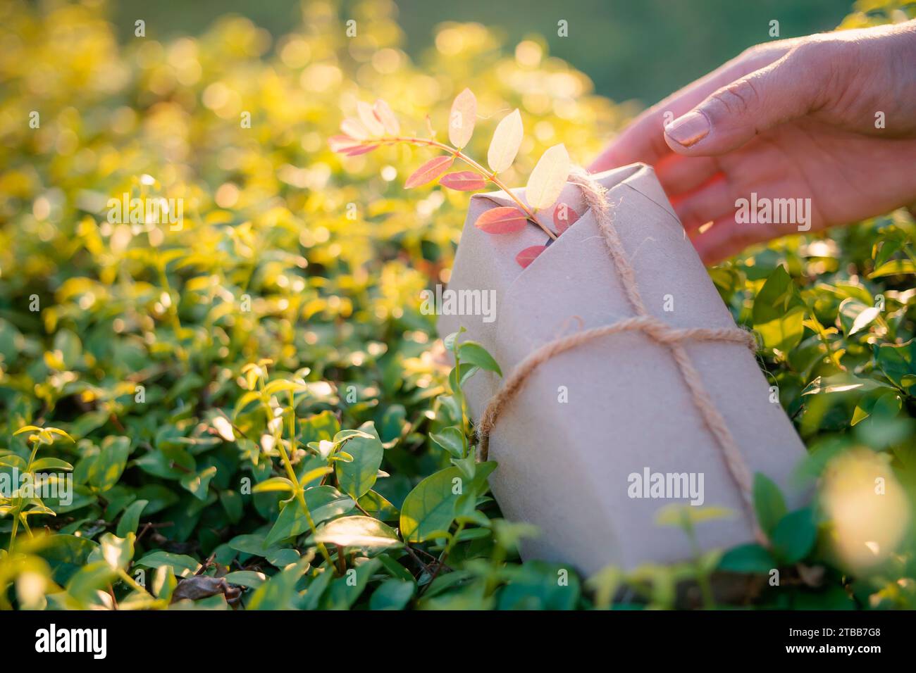 Gift wrapping is made from natural, recycled, and environmentally friendly materials. Stock Photo