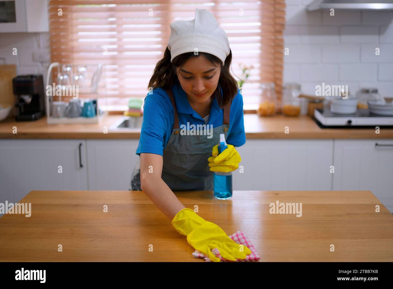 Housekeeping staff clean the house. Service and occupation concept