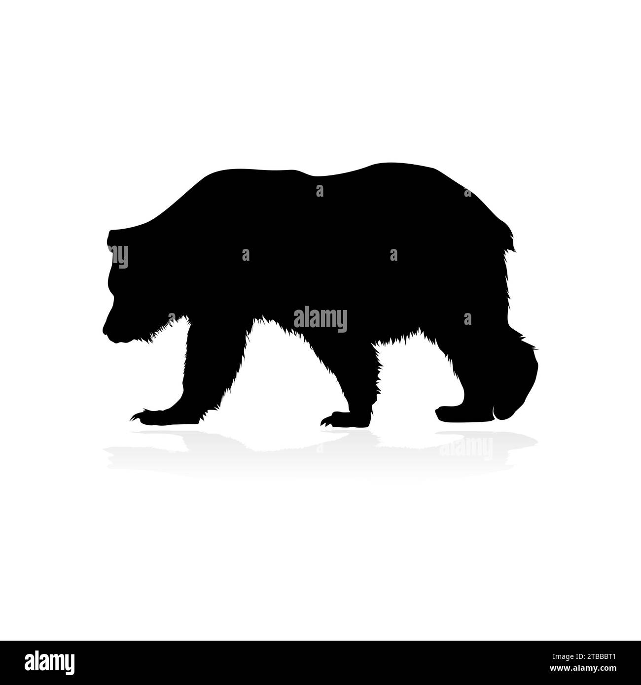 Vector bear silhouette isolated on white background Bear icon modern