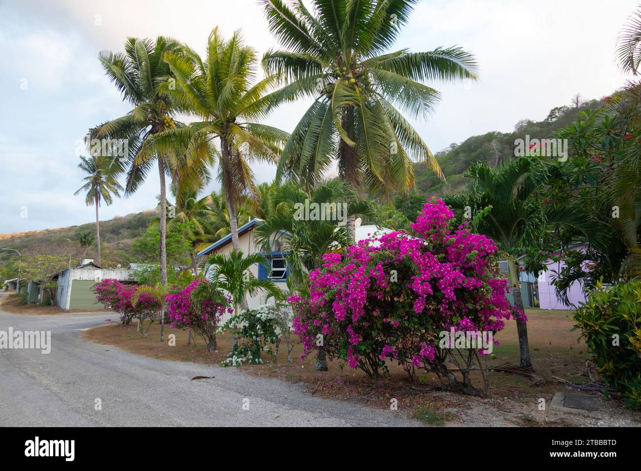 Houses with bougainvillea and palmtrees in the small town of Settlement