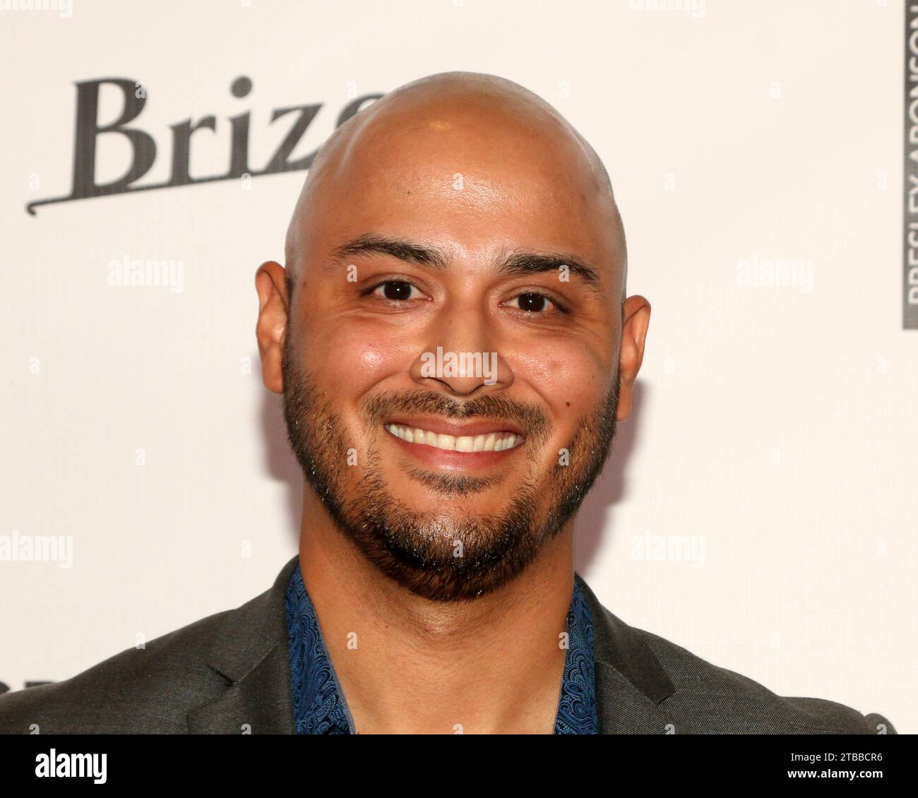 LOS ANGELES - NOV 30:  Guests at the Presley Aronson's Isabella Release Party at the Courtyard Marriott on November 30, 2023 in Marina Del Rey, CA Stock Photo