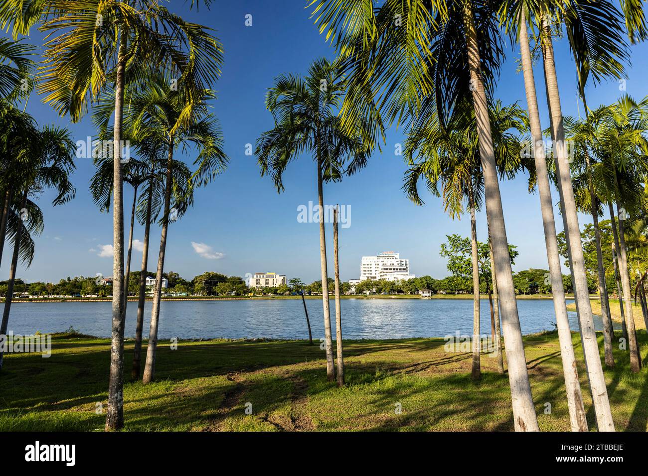 Nong prajak park hi-res stock photography and images - Alamy