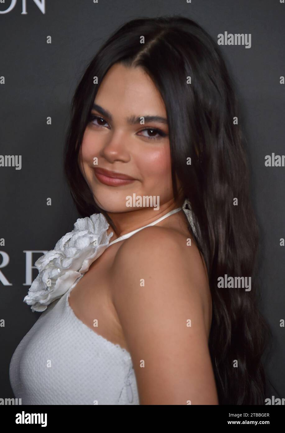 Ariana Greenblatt attends the ELLE Women in Hollywood celebration ...