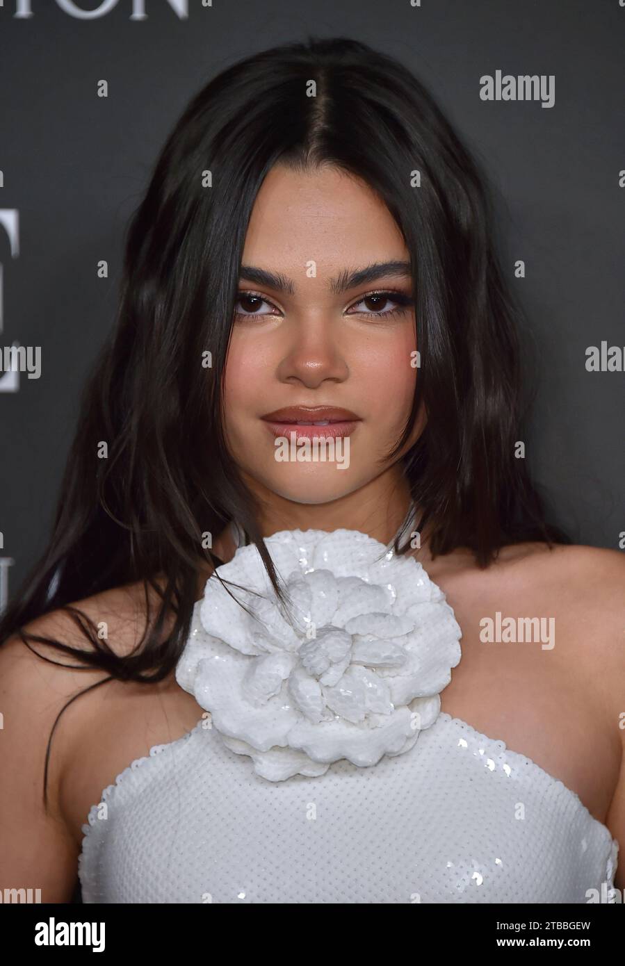 Ariana Greenblatt attends the ELLE Women in Hollywood celebration ...