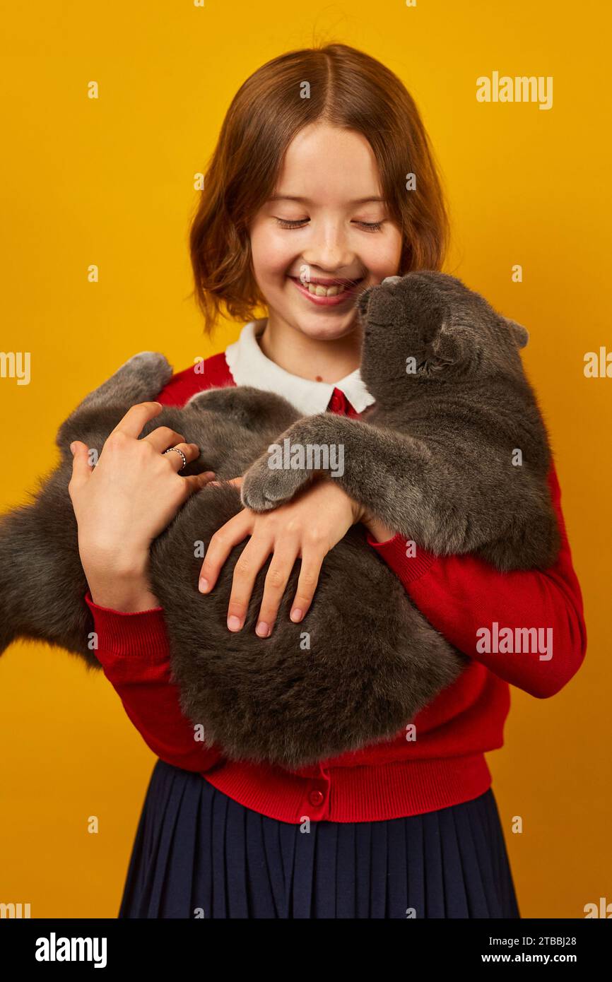 Portrait of the beautiful teen girl hugging her grey fat cat Stock