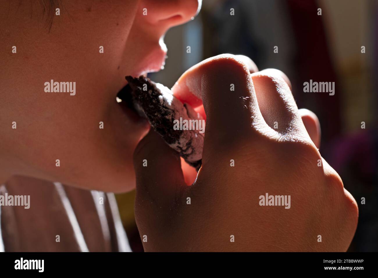 boy licks powdered sugar with his tongue from sprinkled chocolate cookies Stock Photo