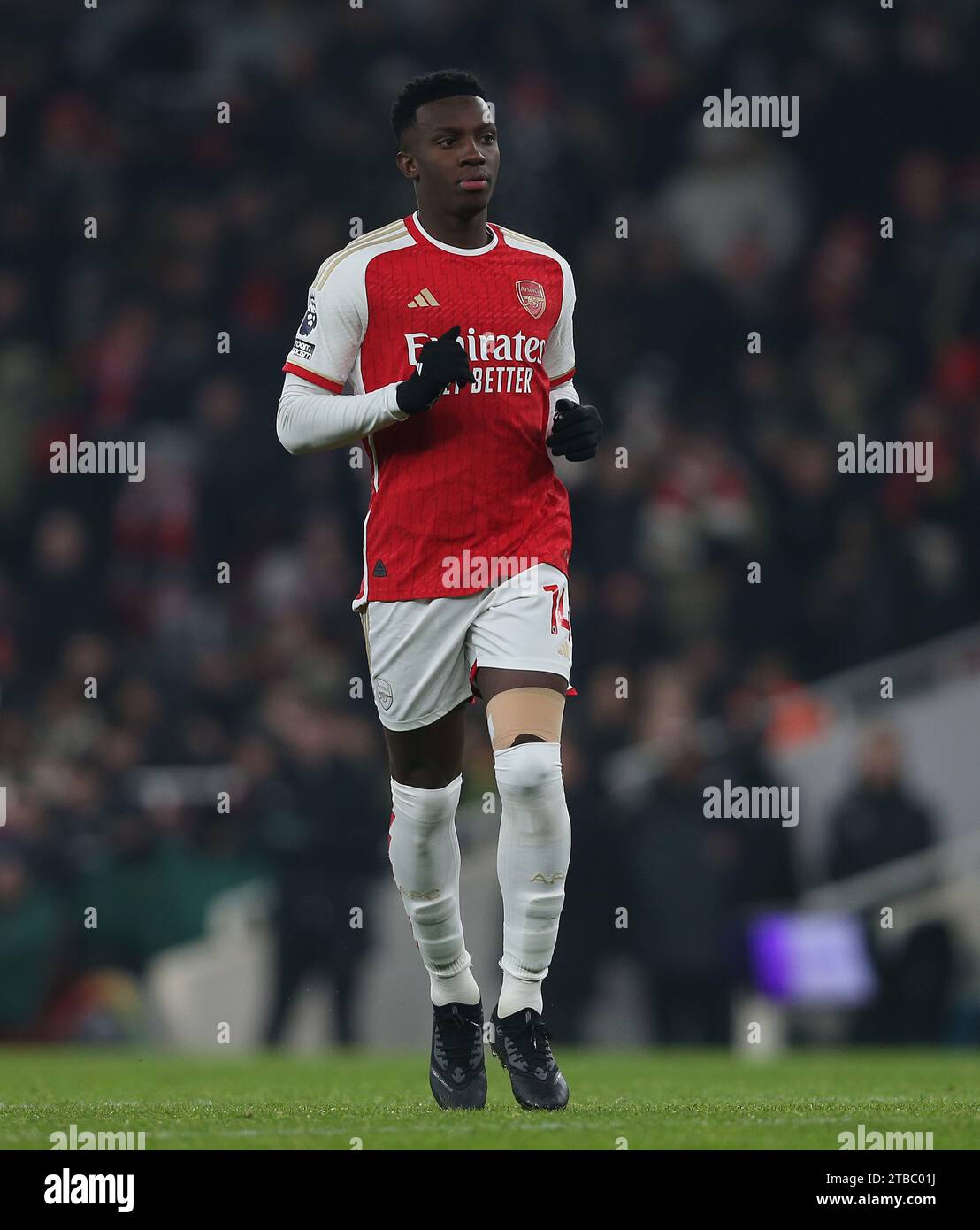 Eddie Nketiah of Arsenal. - Arsenal v Wolverhampton Wanderers, Premier League, Emirates Stadium, London, UK - 2nd December 2023.. Editorial Use Only - DataCo restrictions apply Stock Photo