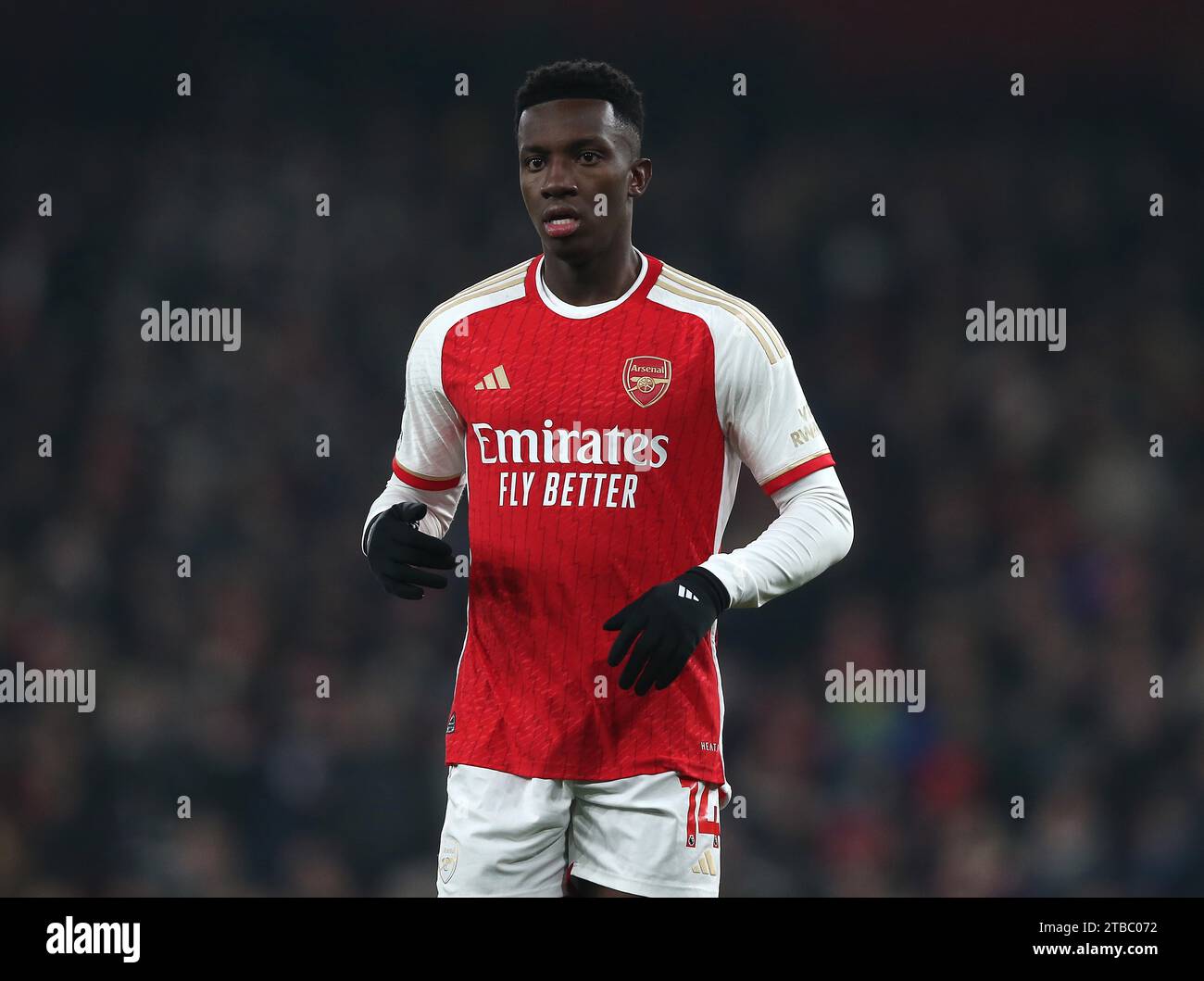 Eddie Nketiah of Arsenal. - Arsenal v Wolverhampton Wanderers, Premier League, Emirates Stadium, London, UK - 2nd December 2023.. Editorial Use Only - DataCo restrictions apply Stock Photo