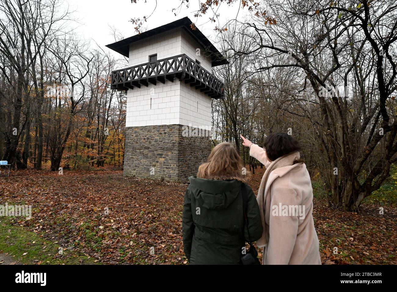 Neuss, Germany. 06th Dec, 2023. Walkers take a look at the