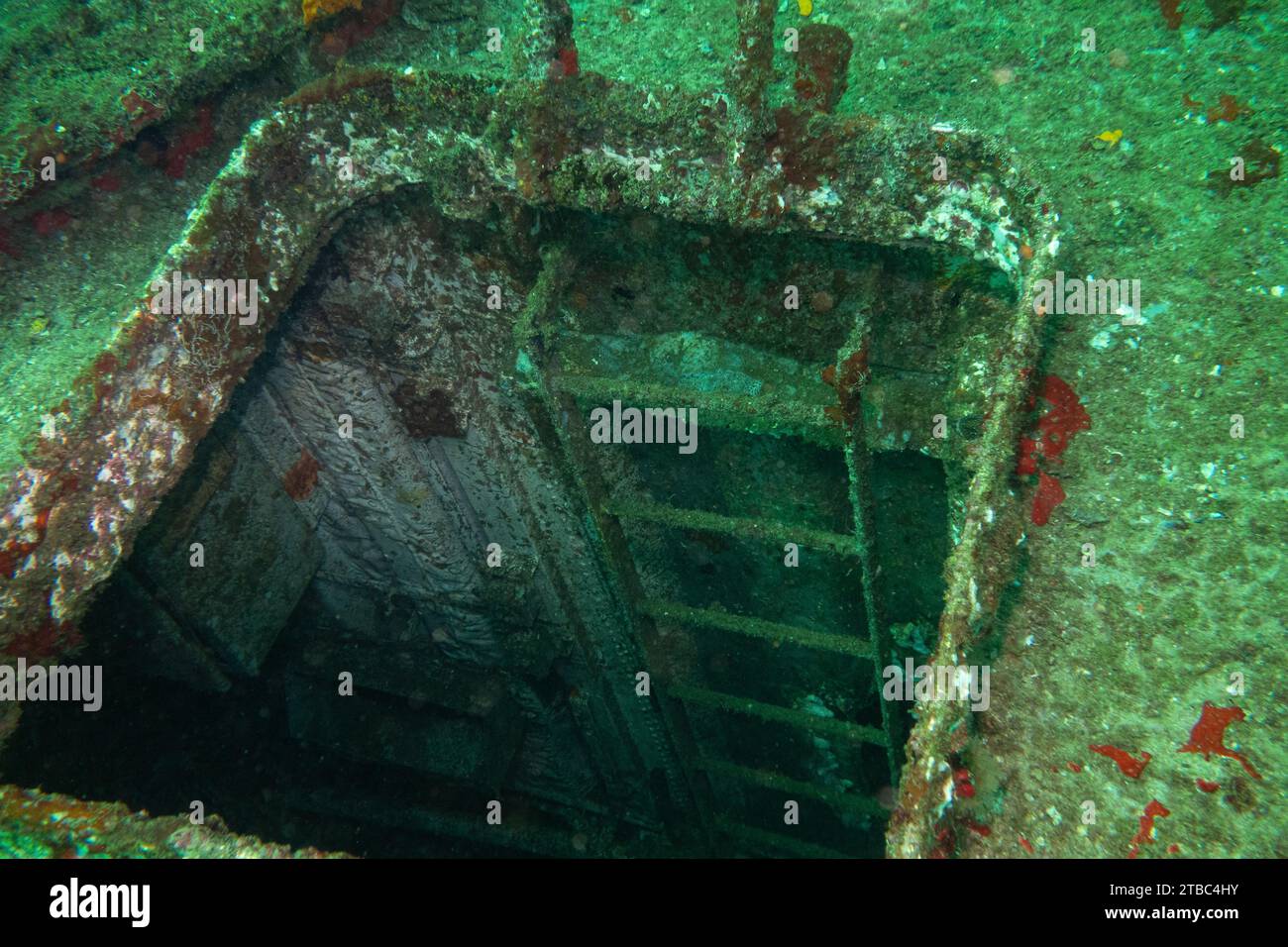 Hatchway and Ladder on the Wreck of the Royal Navy of Oman ship Al Batinah Stock Photo