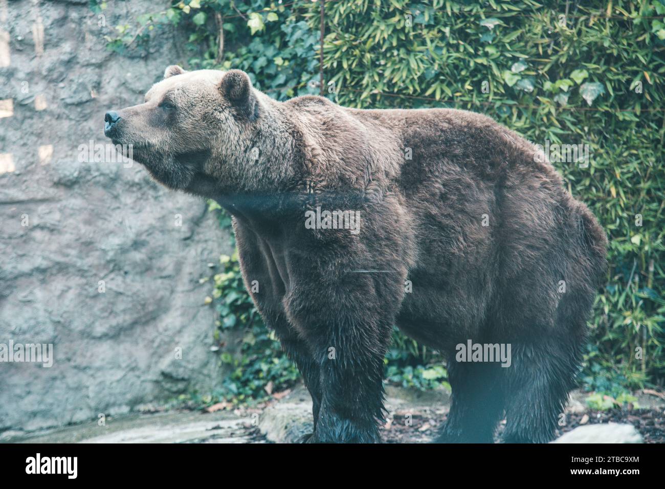 Urban zoo hi-res stock photography and images - Alamy