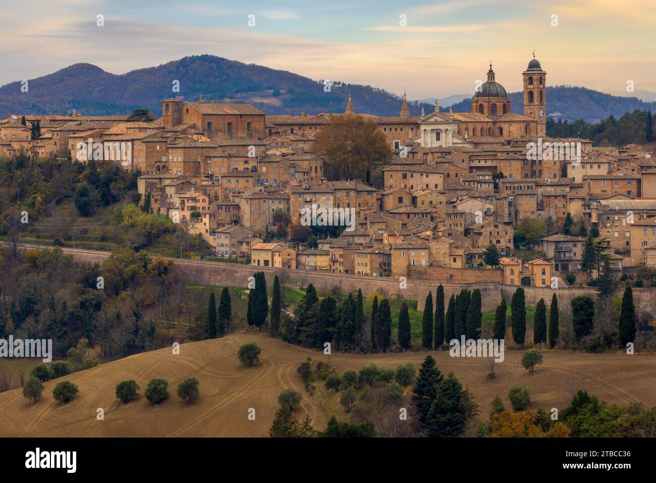 Urbino italy palazzo hi-res stock photography and images - Alamy