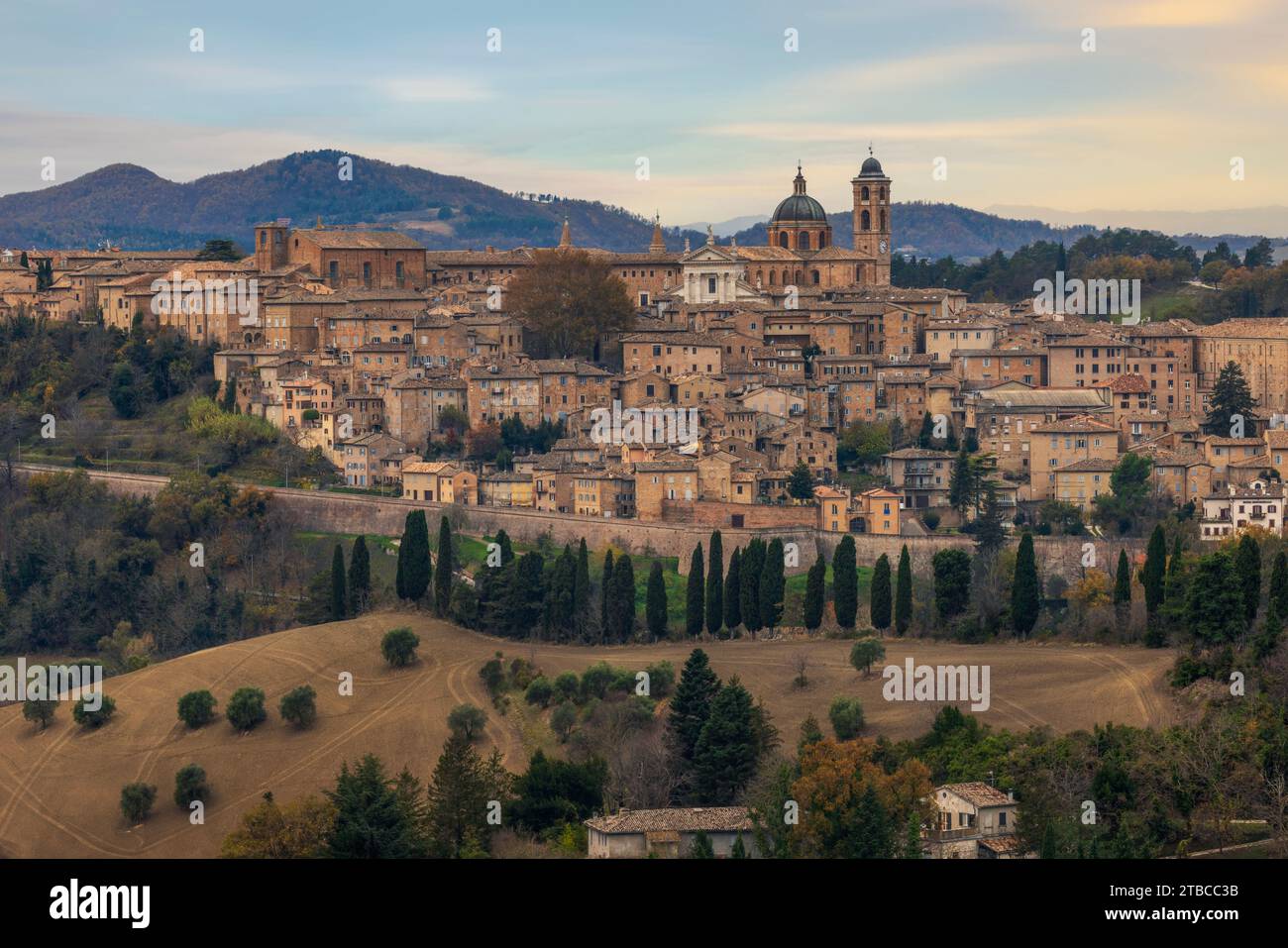 Urbino italy palazzo hi-res stock photography and images - Alamy