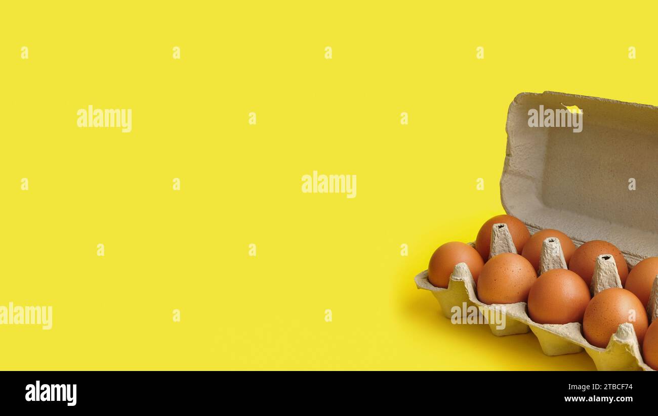 Rustic, organic brown chicken eggs in an open sustainable cardboard tray (box) on a bright, monochrome yellow background. Playful festive image Stock Photo