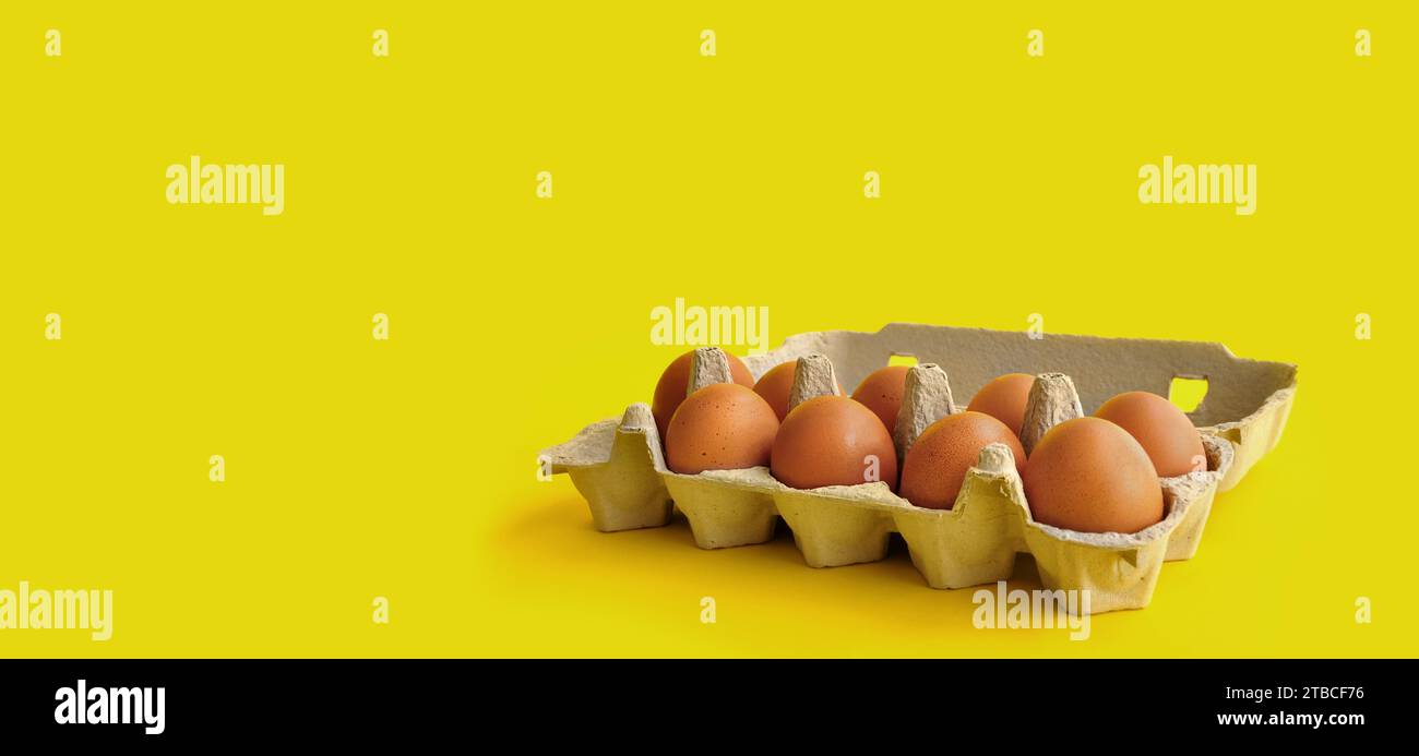 Rustic, organic brown chicken eggs in an open sustainable cardboard tray (box) on a bright, monochrome yellow background. Playful festive image Stock Photo