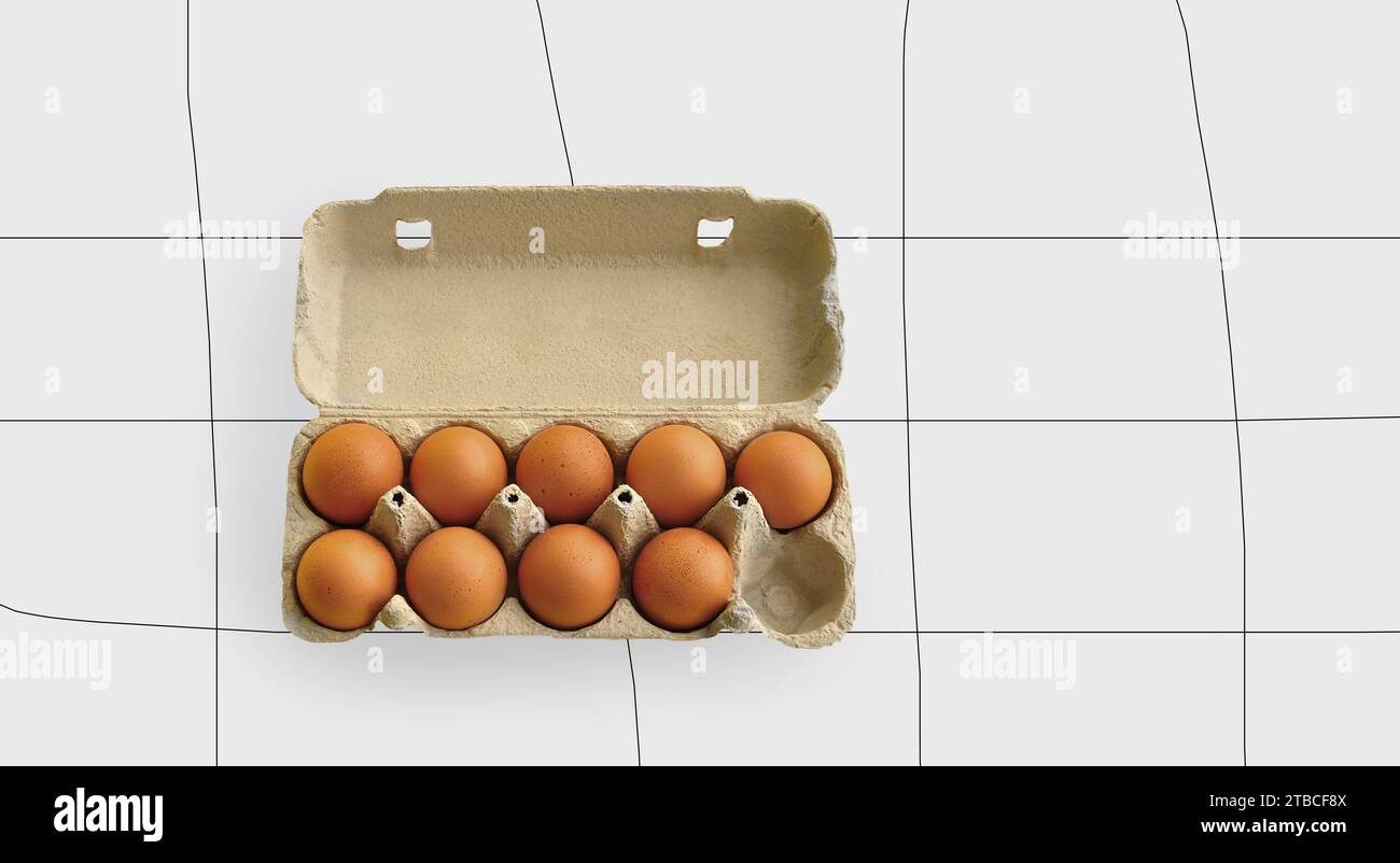 Rustic, organic brown chicken eggs in an open sustainable cardboard tray (box) on a monochrome light gray background with some black lines. Copy space Stock Photo