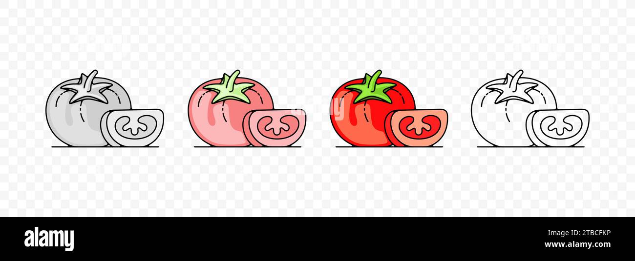 Tomato, tomatoes, vegetable, fruit, food and meal, graphic design. Plant, garden, beds, market, agriculture and agricultural, vector design Stock Vector