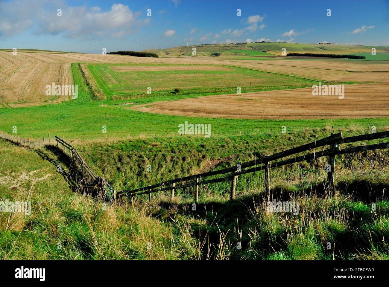 A fence crossing the Wansdyke ancient earthwork on the Wiltshire Downs, looking towards  Cherhill Down. Stock Photo