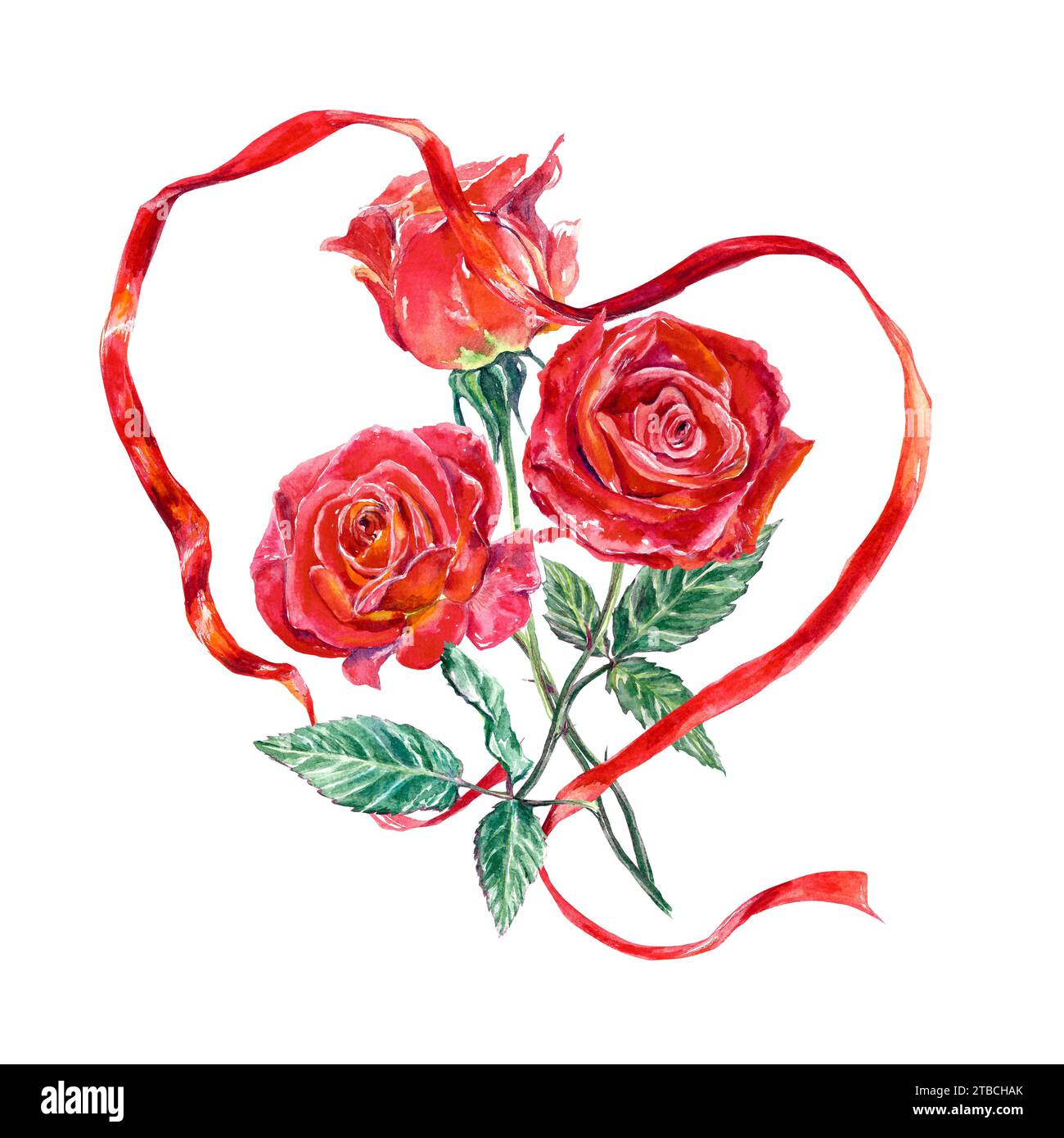 Bouquet of red roses with ribbon. Watercolor illustration isolated on ...
