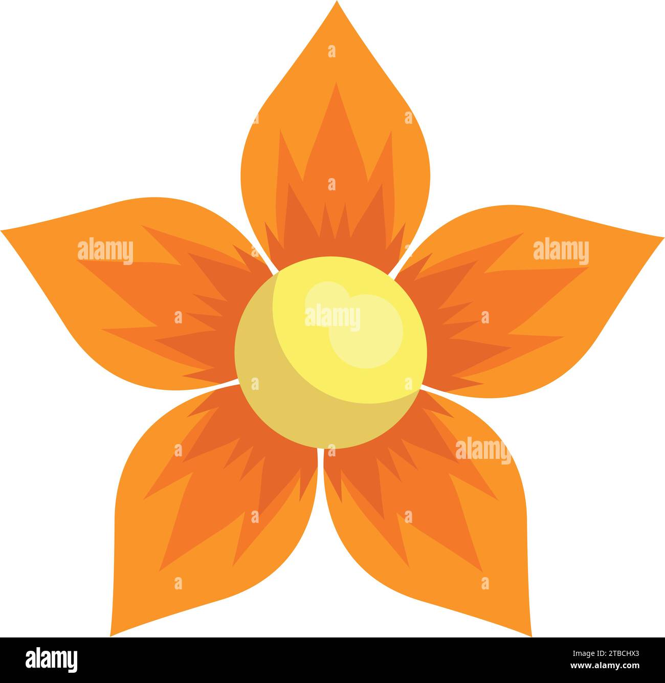 orange flower illustration vector isolated Stock Vector Image & Art - Alamy