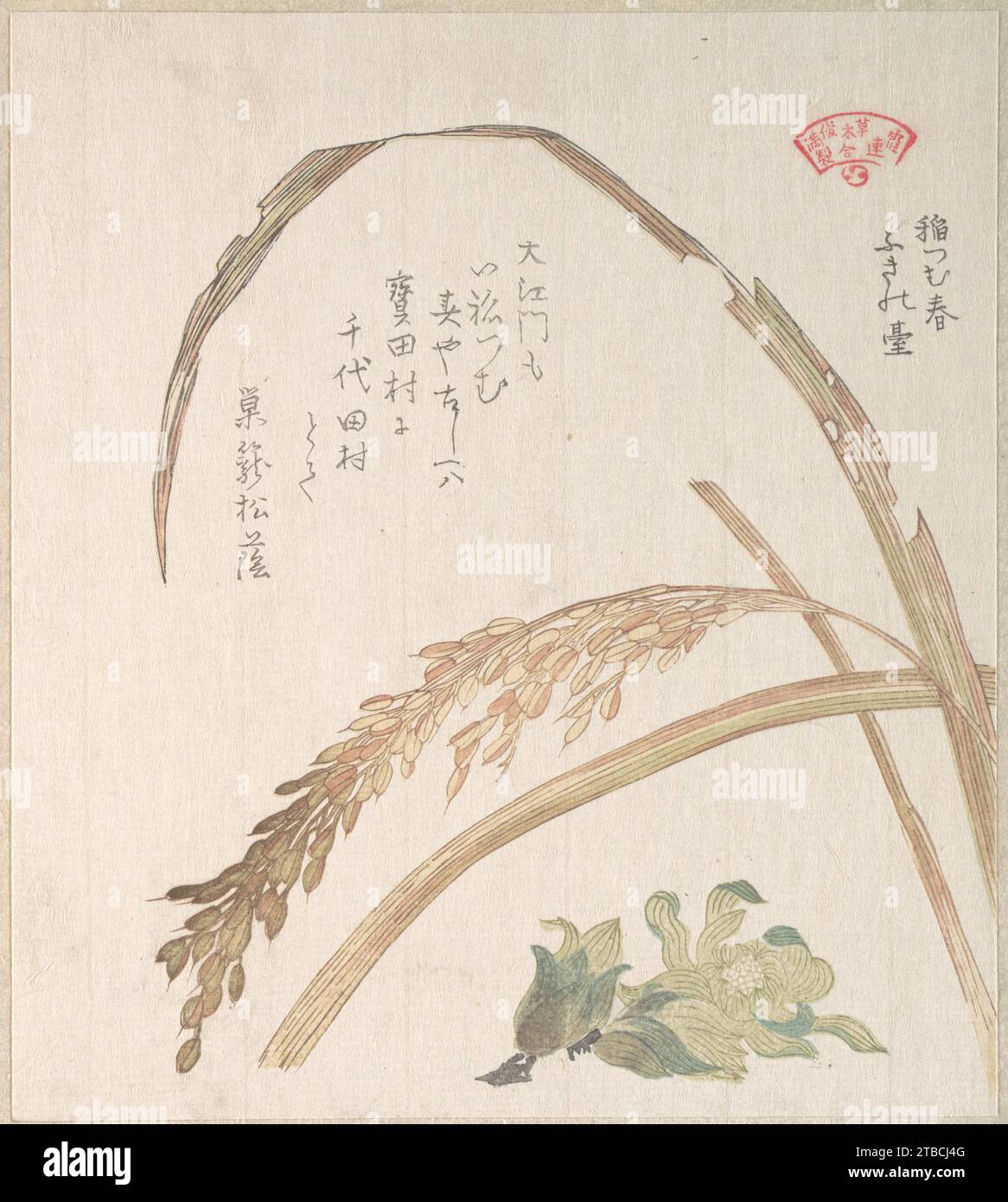 Rice Plant and Butter-Burs 1929 by Kubo Shunman Stock Photo