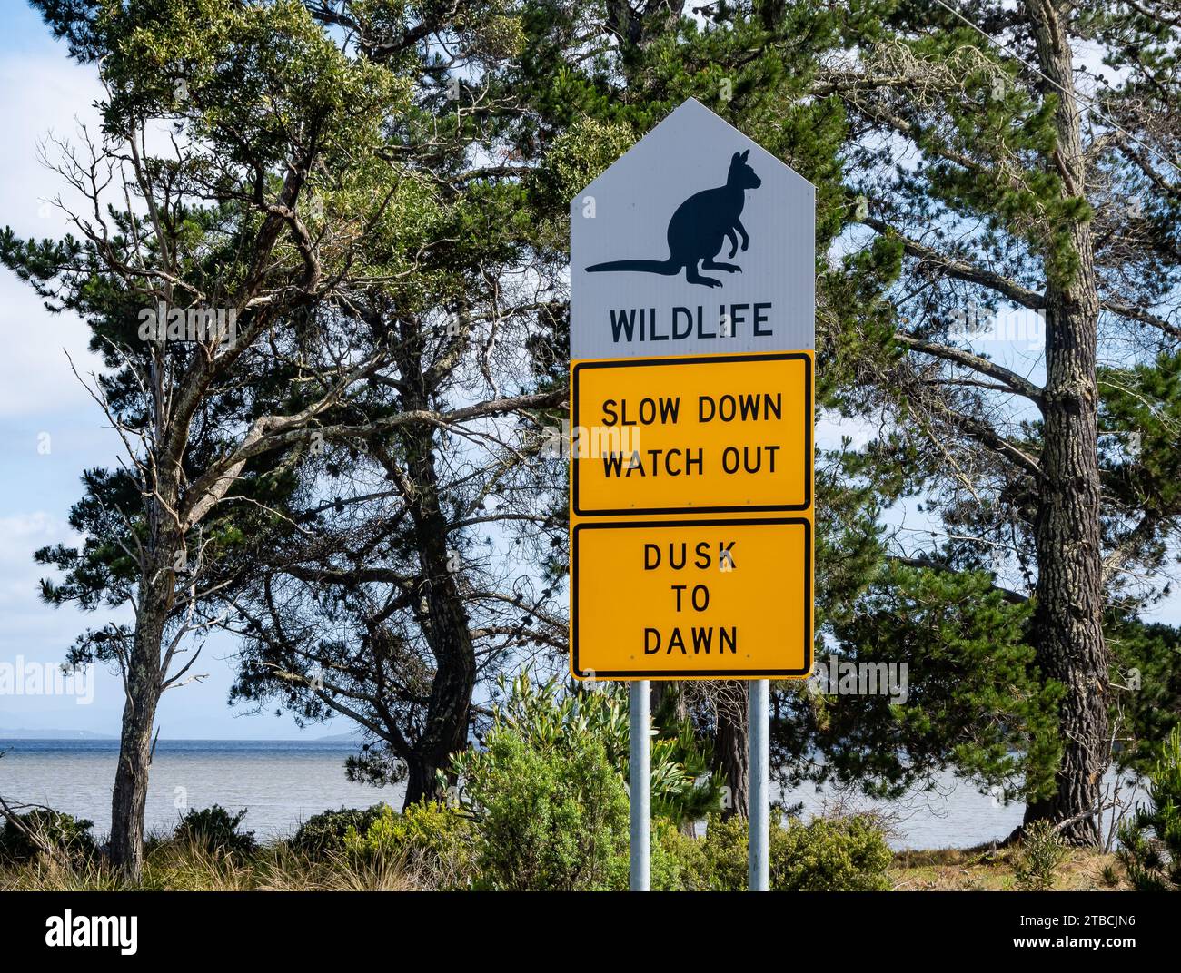 Sign on roadside to protect wildlife. Tasmania, Australia. Stock Photo