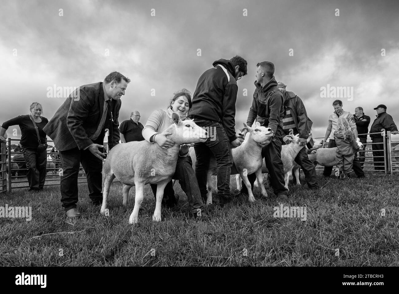 Images From The Carnwath And Biggar Agricultural Society Shows Summer 2023 Stock Photo Alamy