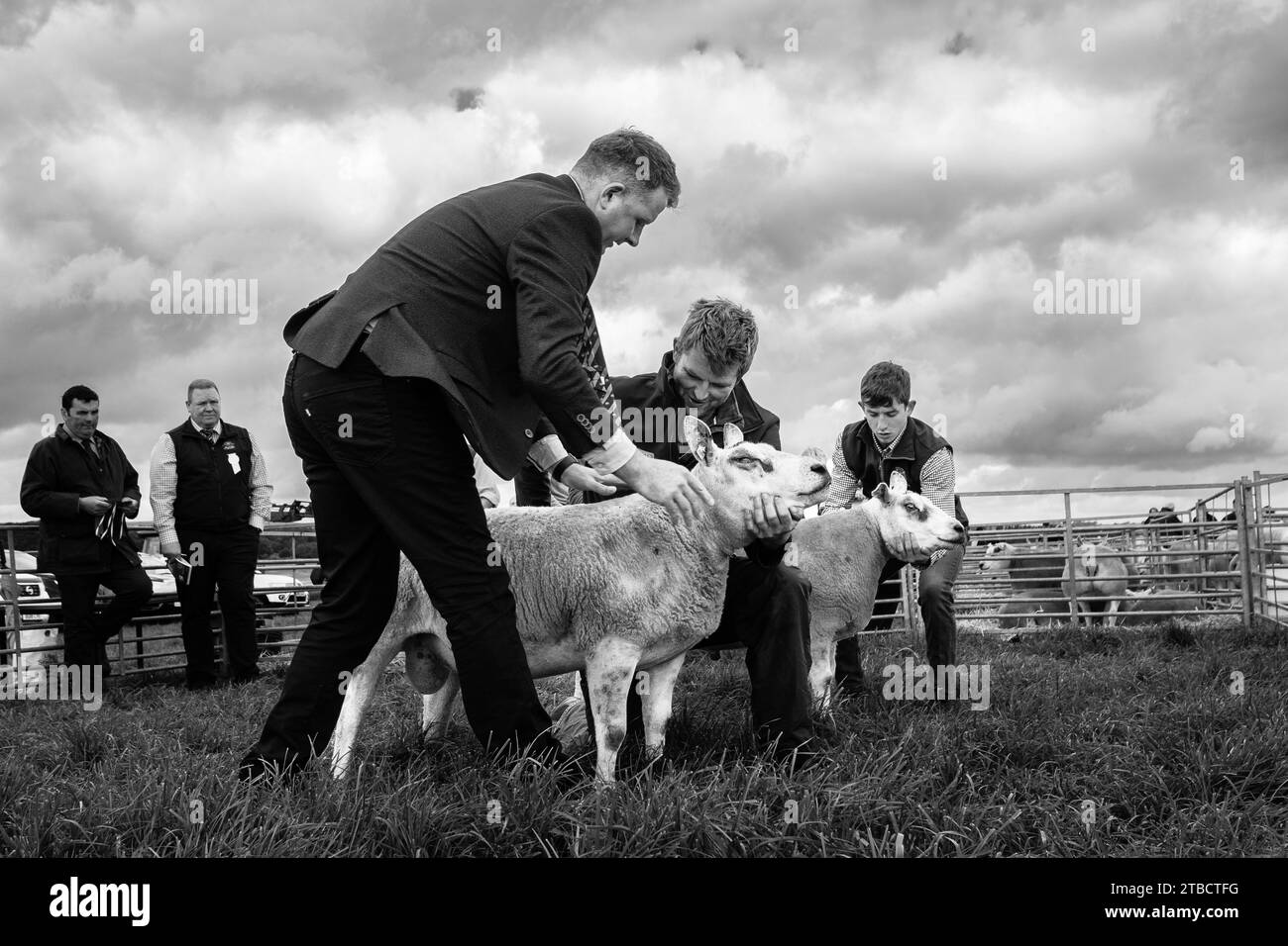 Images From The Carnwath And Biggar Agricultural Society Shows Summer 2023 Stock Photo