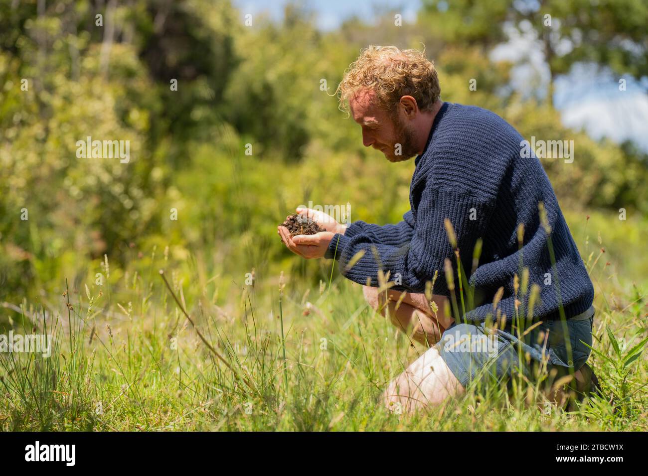 plant and soil agronomy by a farmer in a field on a farm Stock Photo