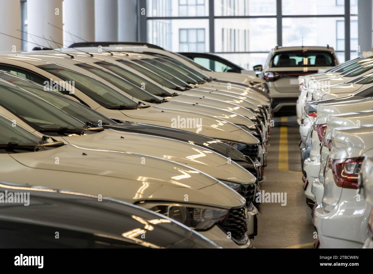 Used car sales Cars in a row Car Dealer Inventory Indoor garage Stock Photo