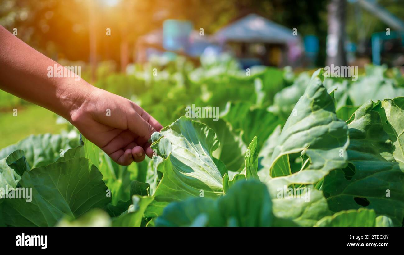 Smart farming with IoT, futuristic agriculture 4.0 concept, farming 4.0 ...