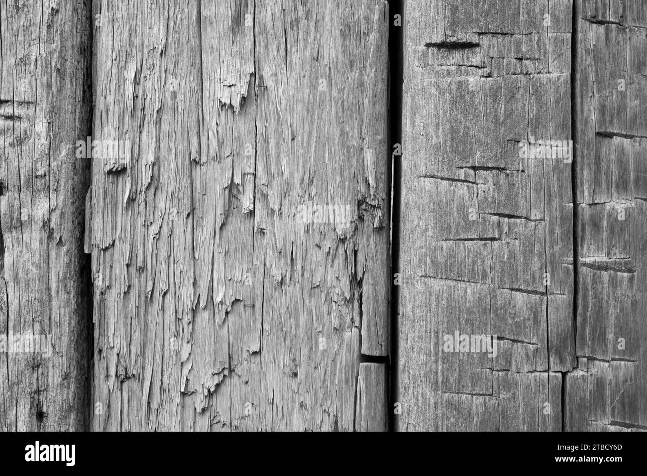 Surface of a wooden wall Stock Photo