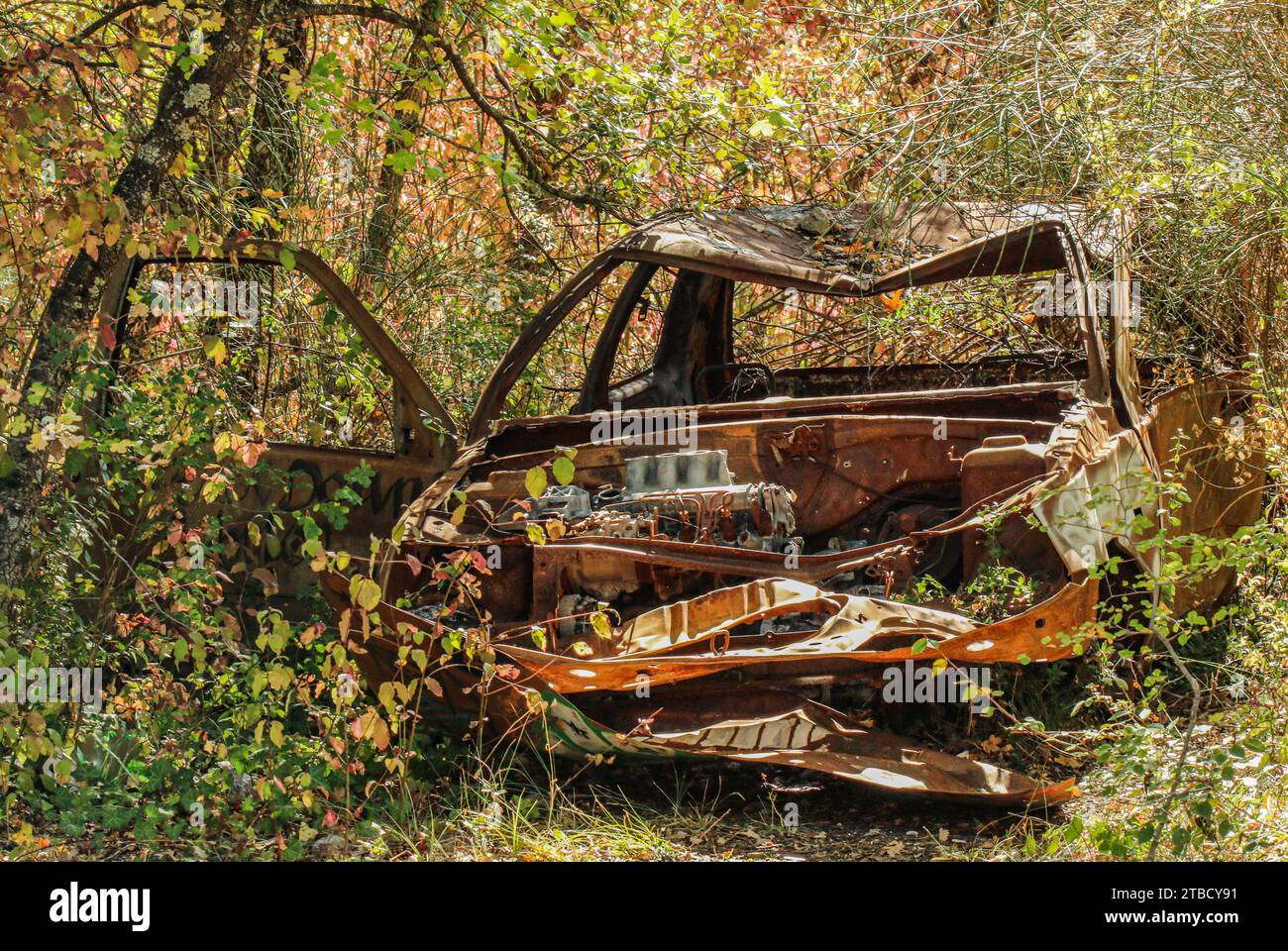 Abandoned car wreck, Vaucluse, PACA region, France Stock Photo