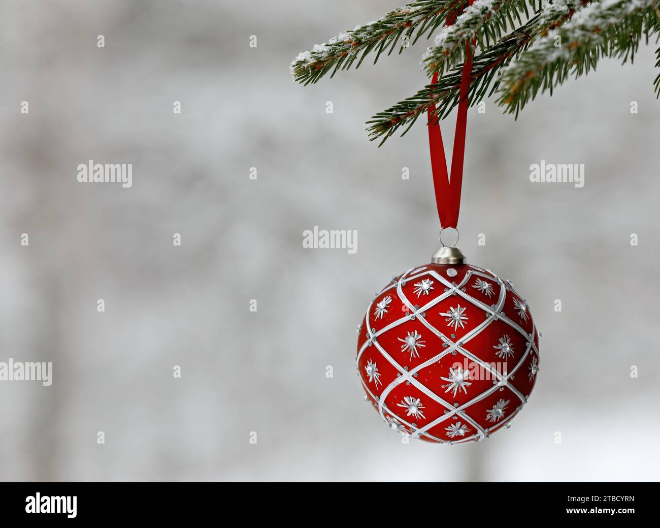 A red Christmas ball hangs on a spruce branch Stock Photo