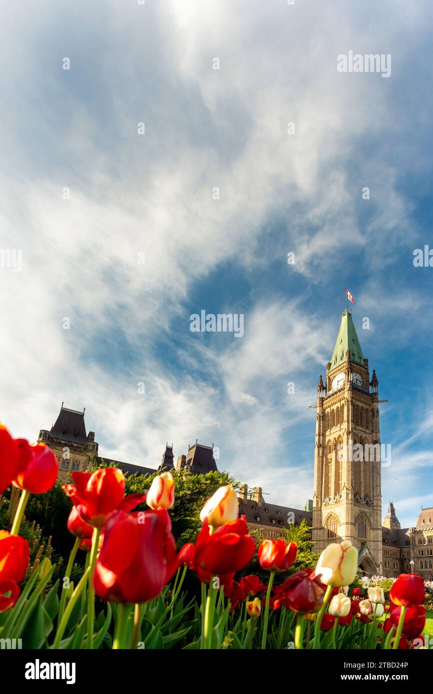 Gouvernement du canada hi-res stock photography and images - Alamy