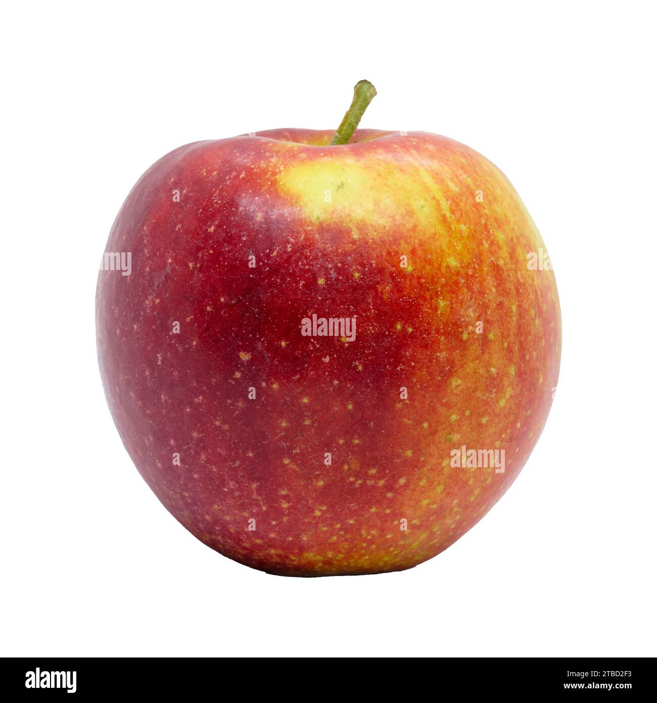 Red Jonagold apple isolated on white background with clipping path