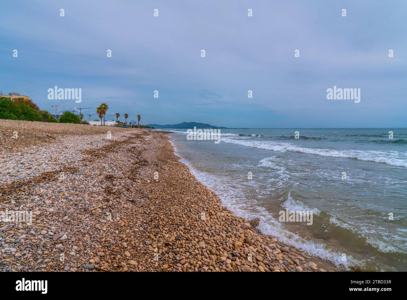 Amplaries hi-res stock photography and images - Alamy