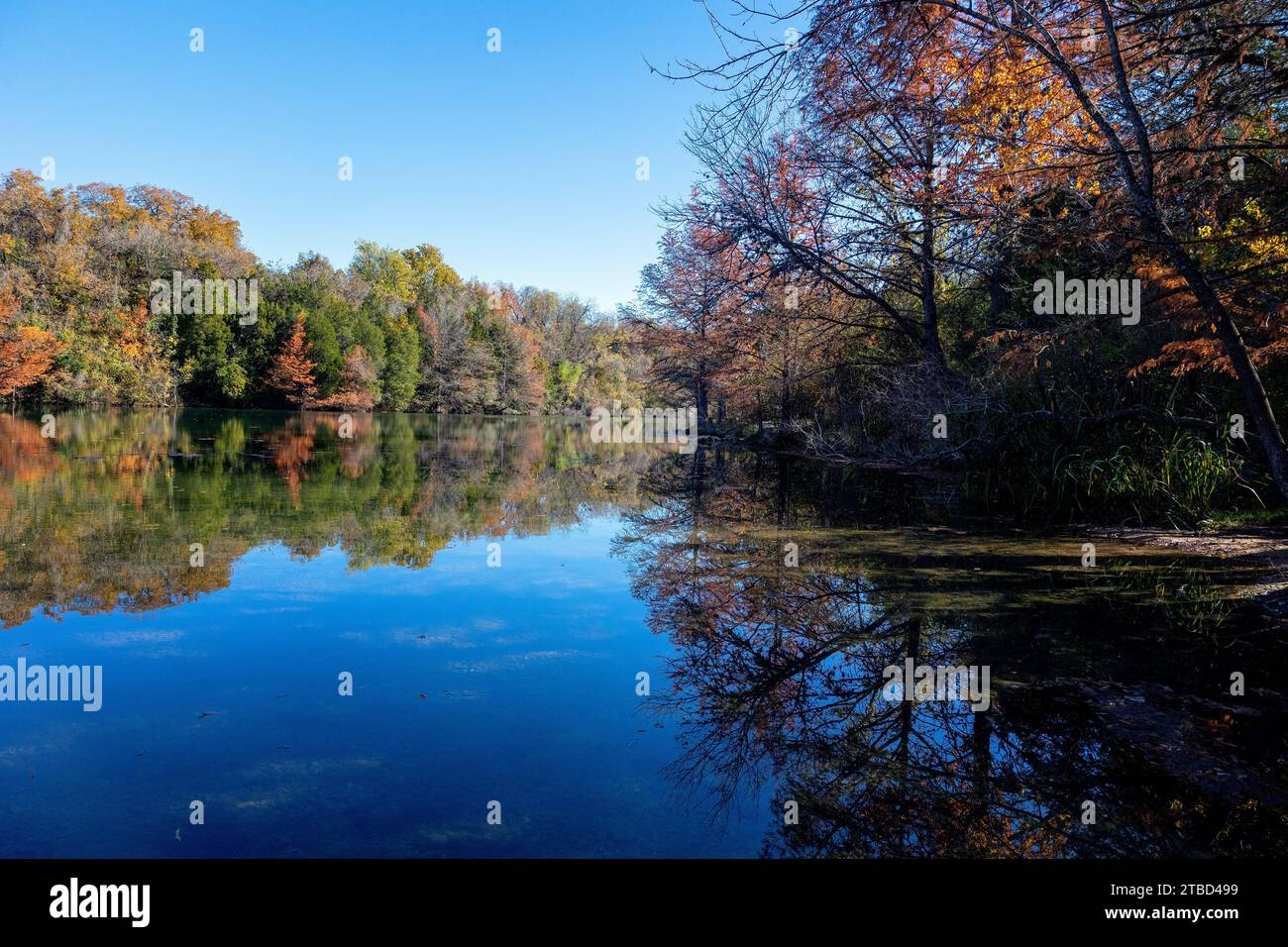 Fall colors in December at Red Bud Isle Park in Austin, Texas Stock ...