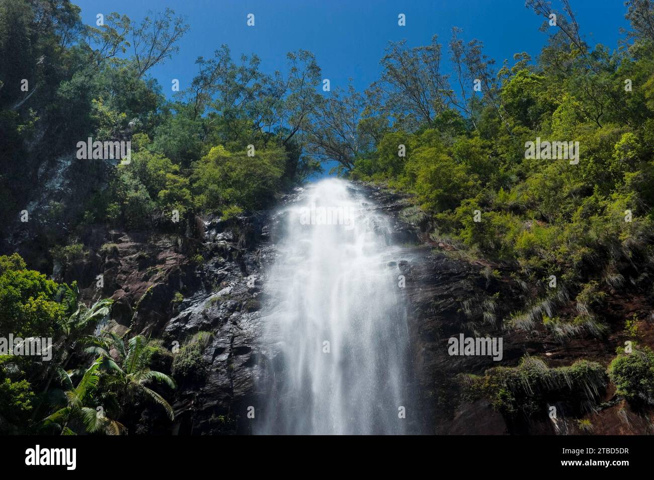 Protesters falls, waterfall, water, fresh, nature, environment, Nightcap National Park, Queensland, Australia Stock Photo